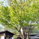 홍천어린이공원 (옥외1) | 홍천유명맛집 양지말화로구이 고추장화로구이