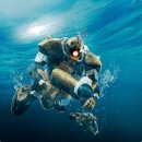 마린수중 이미지