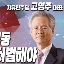 자유민주당 대표 고영주를 이 개차반 국가 그리고 국민의 paradigms 이 되어야 한다 이미지