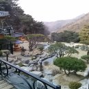 펜션 솔향 이미지