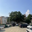 한솔동_주택단지옆 공터자리 | 평택 맛집 기린아돈가스 - 웨이팅,주차,메뉴