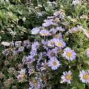 소다라 타이니 하우스 이미지