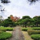 한밭 동물병원 이미지