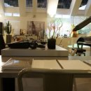 비바체(Vivace) 이미지