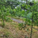 연희 농장 이미지