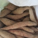 윤정농산물