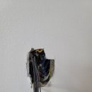 경기도 수원시 영통구 중부대로 이미지