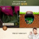 동치미반찬 이미지