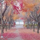 민속공원 이미지