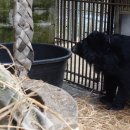 웅담농장 이미지