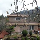 보리펜션 이미지