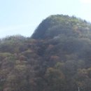 차리인동네 이미지