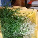 석수공원 이미지