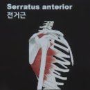 헬린이창고 이미지