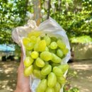 재우농장 이미지