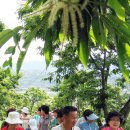 정안밤톨이정보화마을 이미지