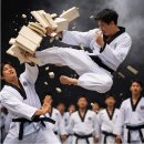 K헌터스태권도 이미지