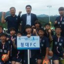 2015 국민생활체육 속초시 I-리그 청대FC 출전 이미지