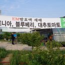 서진석농장 네이버블로그