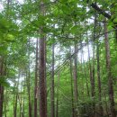 상학주차장 이미지