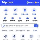 라임휴로즈마리 민박 | 런던 근교여행 영국 고속버스 내셔널익스프레스, 플릭스버스 예매, 가격 feat. 트립닷컴