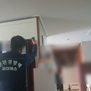 부산진구 방역업체 바퀴벌레 개미 잘 잡아 주는 사장님 최고네요!