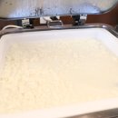 메이플비치호텔 이미지