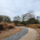 척척 행정사 사무소 이미지