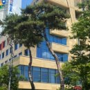 해빛약국 이미지