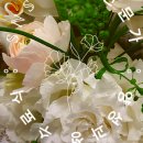 이마트24 진천타운점 이미지