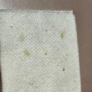마산 피부 관리실 마산 내서읍 밍스킨케어 플라즈마 화이트 토닝 솔직 후기!