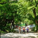 사기막골로 이미지