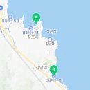 신남1 | 🌊투명한 동해바다 스노클링 명소🤿☀️🍉삼척 신남해수욕장 / 장호항