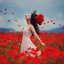 아리따운 이미지