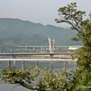 동강의 향기 이미지