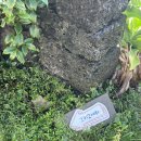 그리고세화해변점게스트하우스제주구좌오션뷰감성숙소 이미지