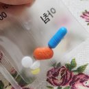 도스인터내셔널 | ~12월 24일 수요일