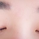 다미래쉬 이미지