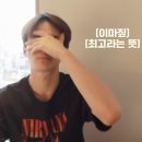 잠실종합운동장올림픽주경기장 네이버블로그