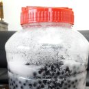 아로니아 효소 이미지