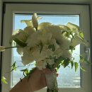 퍼스트에비뉴 | w.11 부산 마이퍼스트레이디&amp;해밀(마퍼해밀) 스튜디오 리뉴얼 촬영후기 및 김선유작가 추천