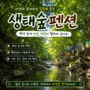덕동하늘숲펜션 | 제천 덕동계곡 숙소 생태숲펜션 | 숙소 바로 앞에 계곡 있는 여름 여행지 내돈내산 후기