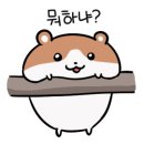 플랜트 노크