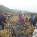 사천초교 이미지