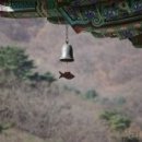 詩가 된 풍경 이미지