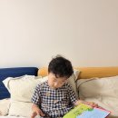 쪼꼬는 논리짱 유아소전집 수학동화 6세책 2주 후기