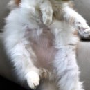 예뻐지냥 이미지