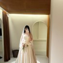 원모어(won more) | 드레스가 친절해요..✨ [ 플래너 없는 워크인 신부의 이븐모어 청주 (even more..👰🏻‍♀️⏱️🤍) 드레스 피팅 후기]