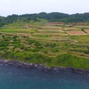 제주도 함덕해수욕장 개장 초읽기 햐...살아있네!! 이미지