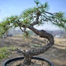 조경만 농장 네이버블로그